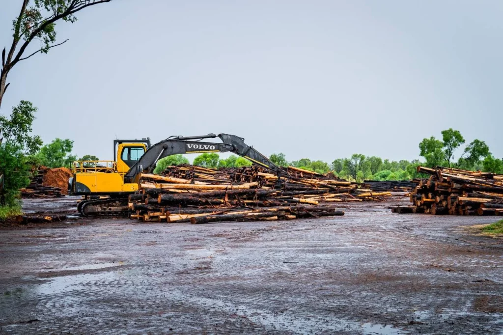 A yellow Volvo excavator moves large logs in a muddy, open area surrounded by green trees, with piles of timber scattered across the site under an overcast sky.