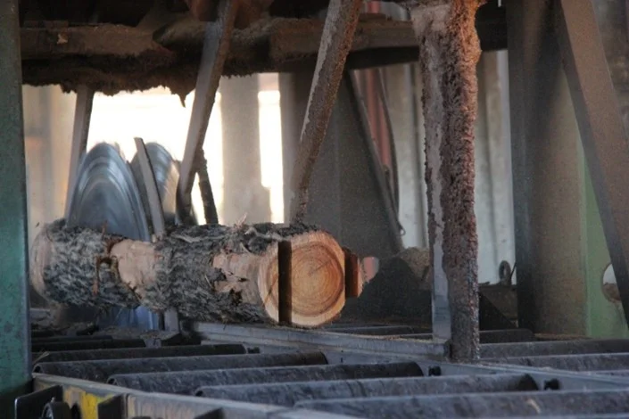 A log is being cut by a large circular saw in a sawmill, with wood dust and bark debris visible around the machinery.